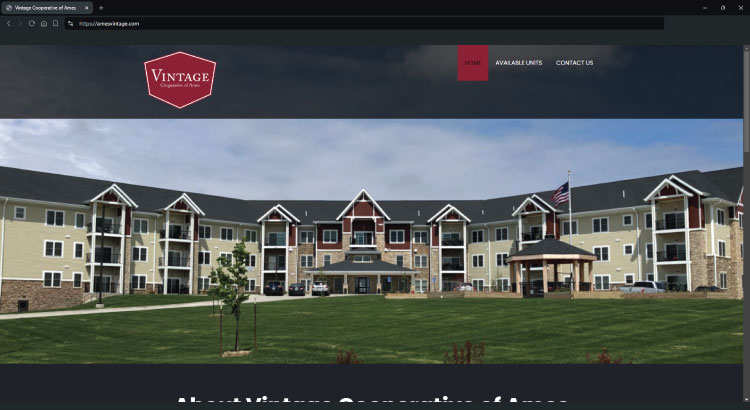 website design, websites