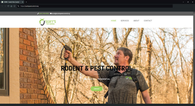 website design, websites, web design